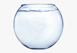 Png Fish Bowl Fish Background Fish Bowl Image Glass