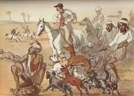 Curry & Rice by ATKINSON, George ...