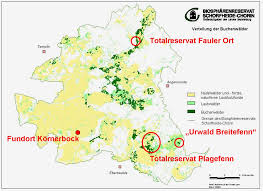Europaische Buchenwaldinitiative Pdf Free Download