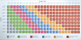 what do my bmi results mean nhsa