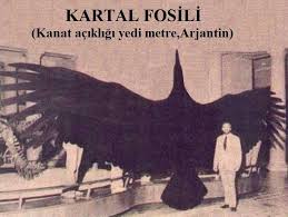 Turk Ve Osmanli Tarihi Panosundaki Pin