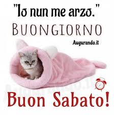 pin di lucrezya su c era una volta una gatta buon sabato sabato buongiorno immagini