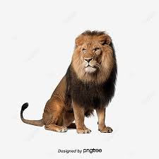 Leon Clipart De Leon Leon Adulto Png Y Psd Para Descargar Gratis Pngtree Lion Images Lion King Pictures Lion Clipart