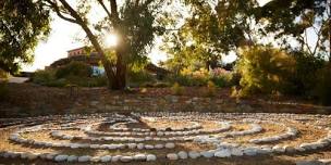 Systemic Constellation Workshop