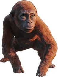 Godzilla x Kong sequel just got confirmed!🔥 : r/Monsterverse