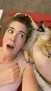 Singing dog videos of all styles welcome