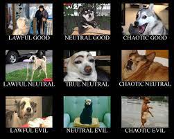 100 Dog Memes That Will Keep You Laughing For Hours This video features funny dogs that will make you laugh! 100 dog memes that will keep you