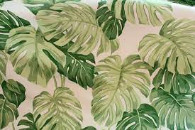 You can get the best discount of up to 50% off. 47 Discontinued Thibaut Wallpaper For Sale On Wallpapersafari