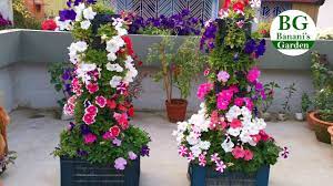 Vertical Petunia Flower Tower How To Make Low Cost Easiest Method Youtube Flower Tower Petunia Flower Petunias