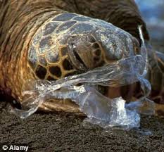Supermarkets Handed Out Seven Billion Plastic Bags In A Year Despite Cameron S Promise To Curb Practice Plastic Pollution Ocean Animals Ocean Pollution
