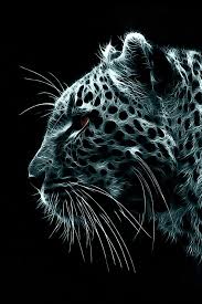 Free Download Iphone Wallpapers Background 640960 Black N White Jaguar 640x960 For Your Desktop Mobile Tablet Explore 14 Black Jaguar Hd Mobile Wallpaper Black Jaguar Hd Mobile Wallpaper Black We hope you enjoy our growing collection of hd images to use as a background or home screen for your smartphone or please contact us if you want to publish a black jaguar wallpaper on our site. black jaguar hd mobile wallpaper