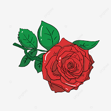 Cara belajar menggambar dan mewarnai gambar kuda poni untuk anak anak sd. Gambar Merah Bunga Mawar Clipart Mawar Merah Satu Bunga Kartun Png Dan Psd Untuk Muat Turun Percuma