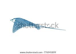 This tattoo exhibits influences from traditional eagles, heraldry and the artist's preferences. Manta Ray Silhouette At Getdrawings Free Download