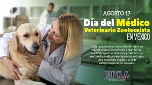 El uso del producto debe tener base en pruebas de susceptibilidad de las bacterias aisladas y/o en otras pruebas diagnósticas apropiadas. Upra ×'×˜×•×•×™×˜×¨ Agosto 17 Dia Del Medico Veterinario Zootecnista En Mexico Feliz Dia A Todos Esos Heroes Culturaupra Upra Universidadsustentable Https T Co Y8lnuufrwu