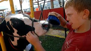 Herkimer County Fair 2011