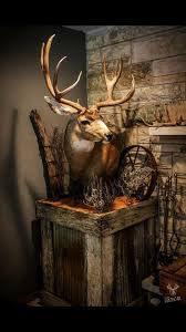 Omg This Is Going To Be Done With My First Deer Taxidermy Deer Hunting Decor Deer Mounts Deer Decor