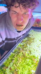 fish_boy777) · Instagram 照片和视频