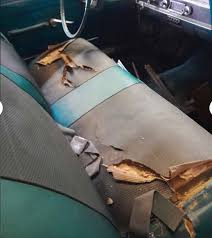 Image result for Cortez Medium Aqua 1966 AMC