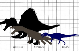 Image result for Nothosaurus