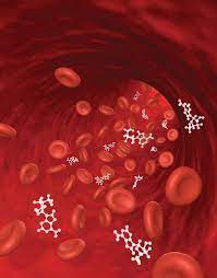 Dietary Supplements And Bioavailability Looking For Some Action