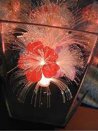 Maybe you would like to learn more about one of these? 18 Fiber Optic Flower Boxes Ideas Flower Boxes Fiber Optic Fiber