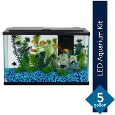 When the aquarium is being cleaned, it is pretty. Aqua Culture 5 Gallon Glass Fish Tank Led Aquarium Starter Kit Walmart Com Walmart Com