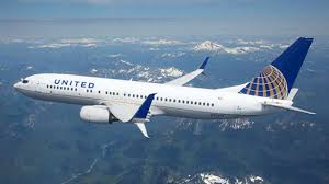 Register for a united cargo account, online booking access or united cargo billing access. United Airlines In Trouble Again Puppy Dies On Flight After Attendant Insists It Is Placed In Overhead Locker