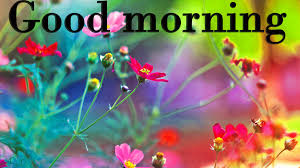 Good Morning Hd Wallpaper Posted By Michelle Johnson Good morning wishes with yellow roses. good morning hd wallpaper posted by