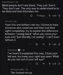 Most colour blind people are able to see things as clearly as other people but they are unable to fully 'see' red, green or blue light. What Do Blind People See 9gag