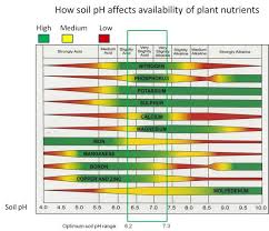 Soil Ph Nutrient Availability Soil Ph Ph Chart Calcium