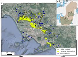 Dalam 40 lagu raya ni, lagu raya mana yang jadi favorite korang? Frontiers The Magnitude Of The 39 8 Ka Campanian Ignimbrite Eruption Italy Method Uncertainties And Errors Earth Science