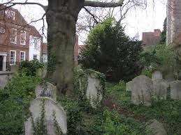 Overgrown Graveyard Natural History Museum Old Cemeteries Cemeteries History Museum