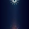 Cardano is a decentralised public blockchain and cryptocurrency project and is fully open source. 1