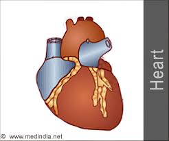 Discomfort in the upper body, including the arms, neck, back, jaw, or stomach. Quiz On Heart