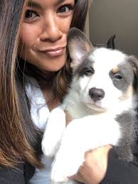 Our little Keo disapproves taking selfies 🙄🤣