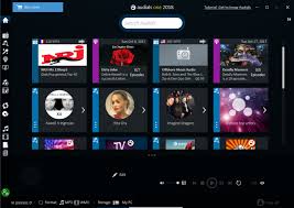 Automatically downloads and synchronizes information between a computer, smartphone, tablet. Audials One For Pc Windows 10 Download Latest Version 2021