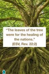 Happy Arbor Day! 🌴 , “The leaves of the tree were for the healing of the nations.” (English Standard Version, Revelation 22:2), #restorationhouse #arborday #leaves #healing #tree #healingofthenations ...