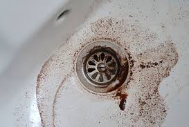 drains smell fresh