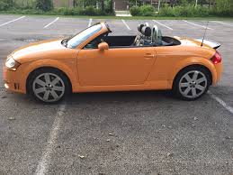 Image result for Papaya Orange 2004 TT