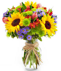 Maybe you would like to learn more about one of these? H E B Blooms E Expressway 83 Mission Tx 78572