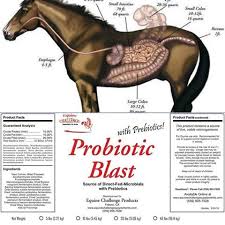 Probiotic Horse Supplement Prebiotic Equine Digestion Probiotics Horse Supplements Horse Health