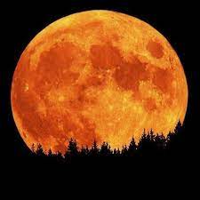 Pin By Bobbie Burns On Nursing Home Jokes Beautiful Moon Orange Moon Harvest Moon