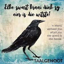 Pin On Afrikaans