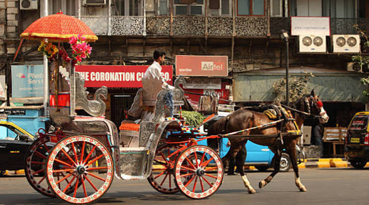 Mumbai's 'Victoria' carriage operators to be rehabilitated - The Statesman