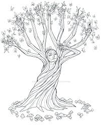 Magic Tree Line Art Line Art Tree Drawing Art