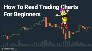 How To Read Trading Charts For Beginners Steemit