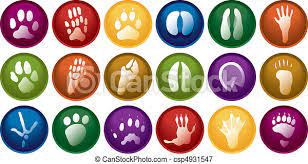 Tierspuren abbildungen / tierspur detektive so nimmst du gipsabdrucke okoleo umwelt und naturschutz fur kinder in hessen : Tierspuren Clipart Vektor Grafiken 11 353 Tierspuren Eps Clip Art Vektor Und Stock Illustrationen Von Tausenden Lizenzfrei Illustratoren Zur Auswahl
