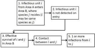 African swine fever (asf) is a devastating infectious disease of pigs, usually deadly. Frontiers The Risk Of Infection By African Swine Fever Virus In European Swine Through Boar Movement And Legal Trade Of Pigs And Pig Meat Veterinary Science
