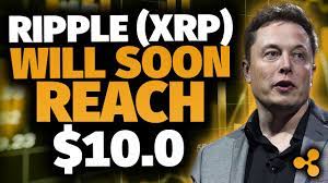 One among such enthusiasts is yoshitaka kitao. Elon Musk Reveals Xrp Will Reach 10 Price Prediction 2021 Youtube
