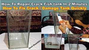 How To Fix A Cracked Aquarium Tank In Hindi Damageaquarium Fish Tank Fix It Aquarium